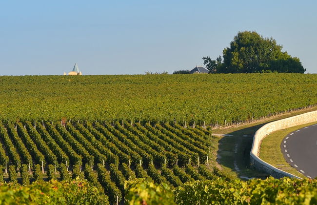 Tour pela região do Médoc com degustação de vinhos - Foto 8