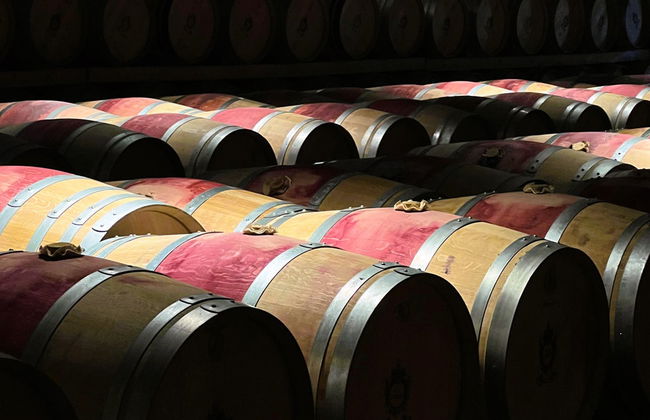 Tour pela região do Médoc com degustação de vinhos - Foto 6