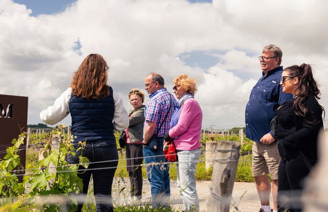 Tour pela região do Médoc com degustação de vinhos - Foto 7