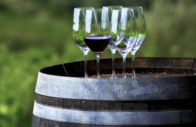 Tour del vino por el Chianti - Foto 3