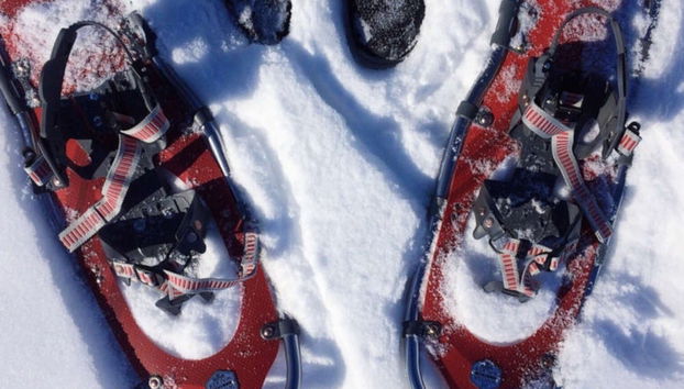 Rovaniemi Snow Adventure - Photo 3