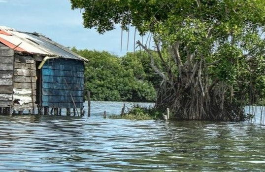 Excursión a los pueblos palafitos de Ciénaga - Foto 5