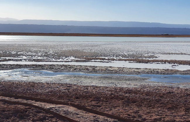 Excursión a la laguna Cejar, Tebenquiche y los Ojos del Salar - Foto 4