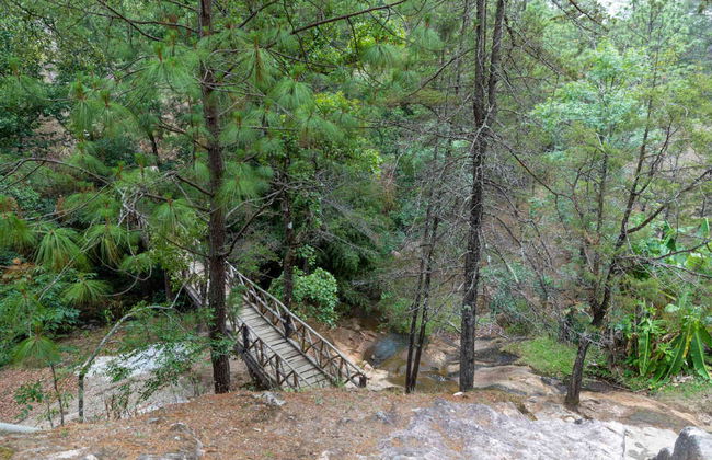 Day Trip to Mazamitla and Mundo Aventura Eco Park Waterfall - Foto 3