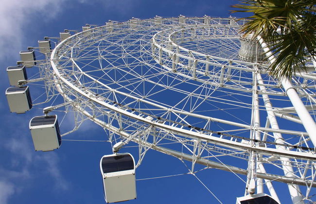 Tour di Orlando con giro in barca - Foto 3