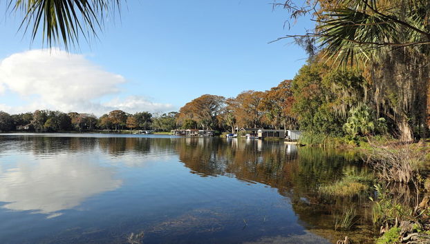 Tour di Orlando con giro in barca - Foto 2