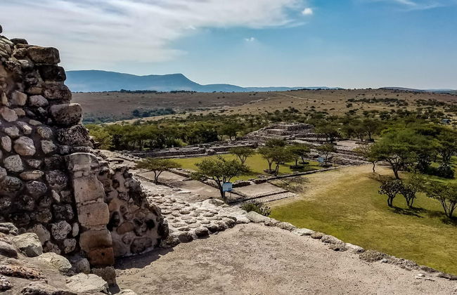 Excursion à la zone archéologique de Cañada de la Virgen - Photo 3