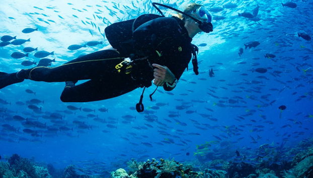 Buceo en los arrecifes de Bohol - Foto 5