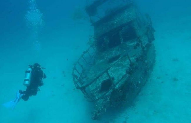 Buceo en los arrecifes de Bohol - Foto 1