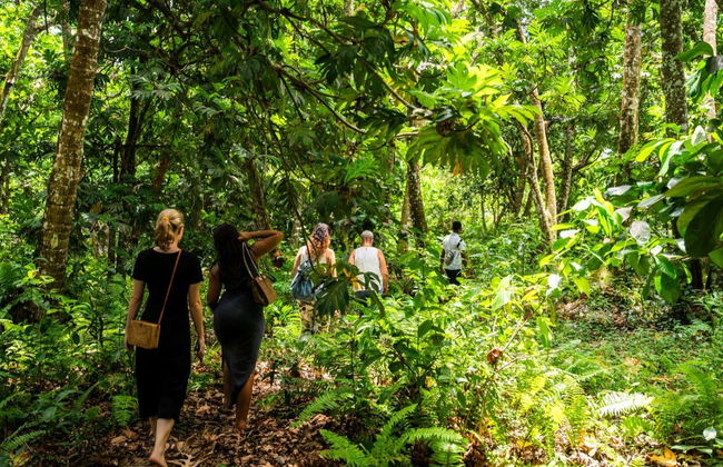 Tour of Jozani National Park - Photo 6