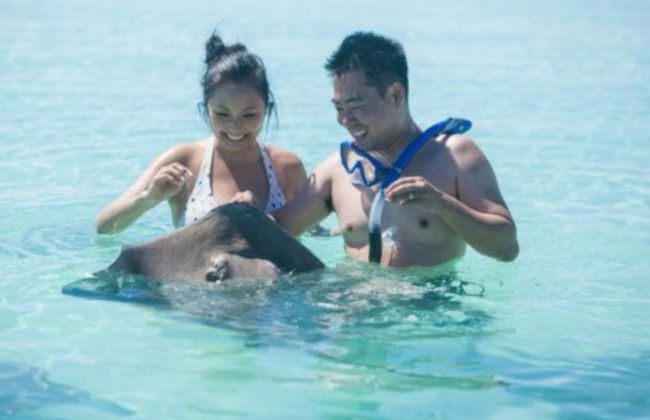 Snorkeling avec des requins et des raies - Photo 3