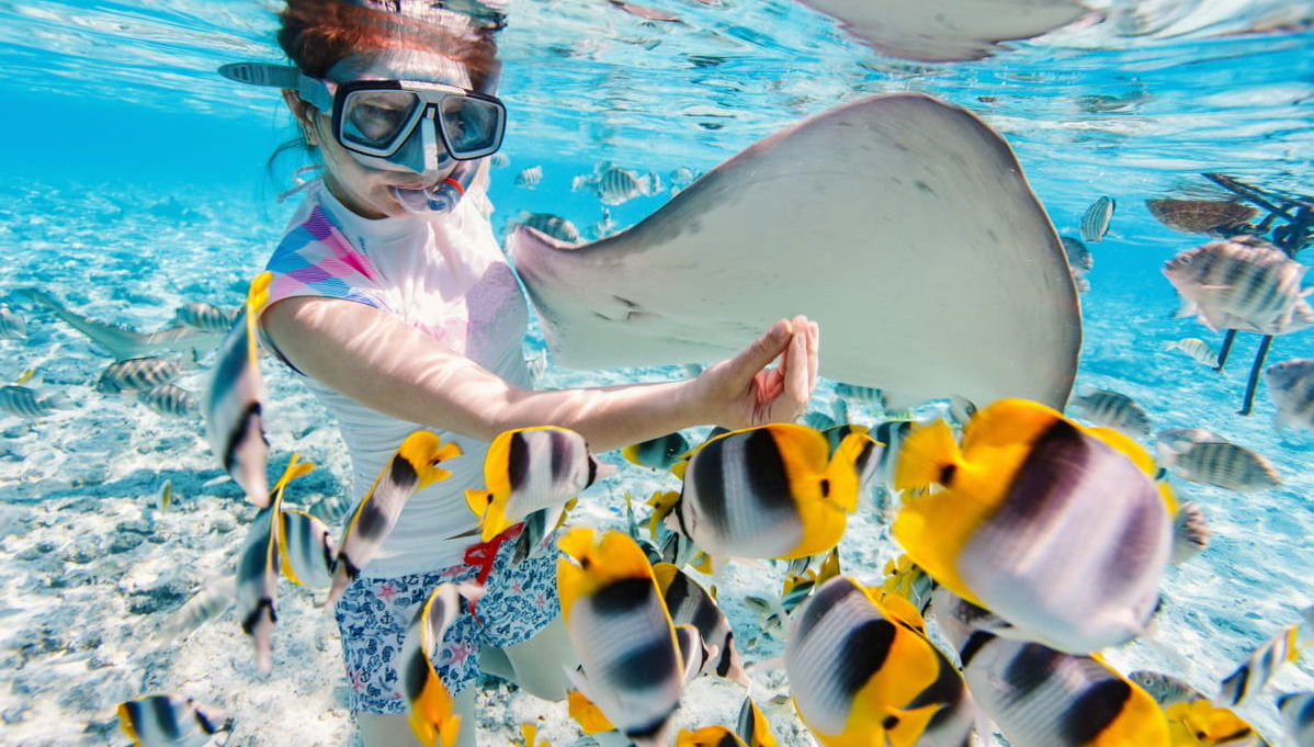 Bora Bora Shark Snorkel Safari - Foto 1