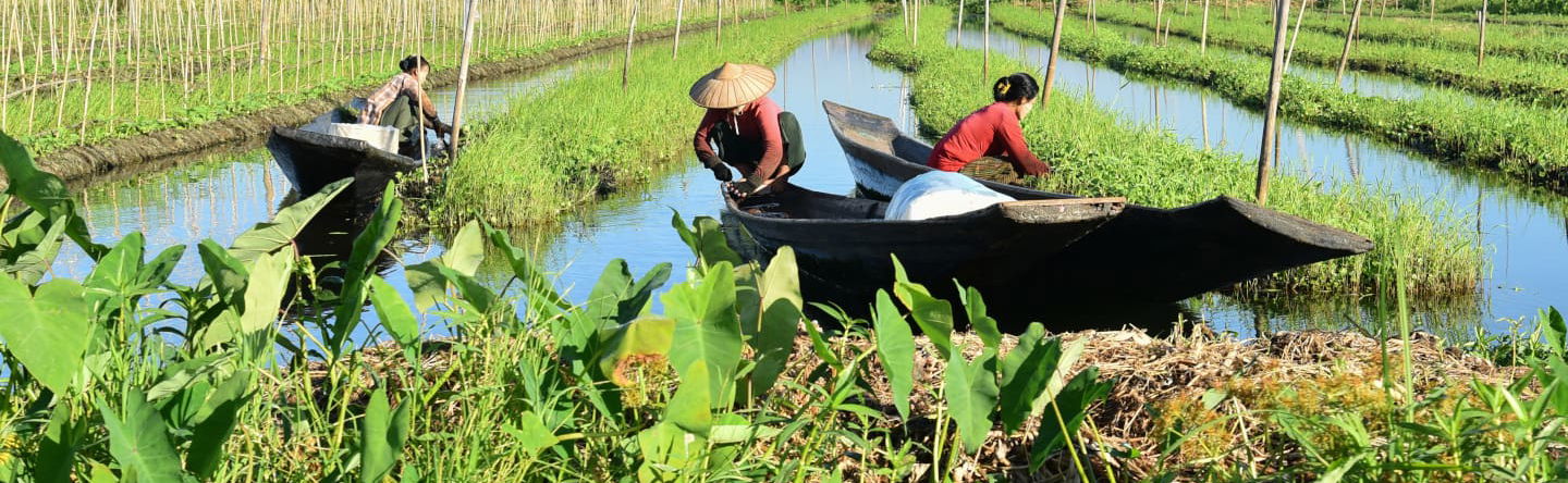 Balade en bateau sur le lac Inle - Photo 1