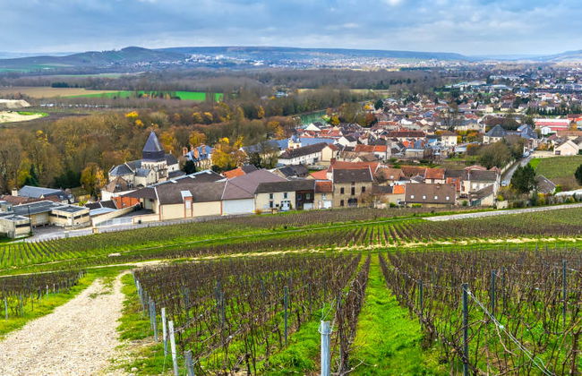Tour dello champagne a Épernay, Hautvillers e Mareuil-sur-Ay - Foto 11