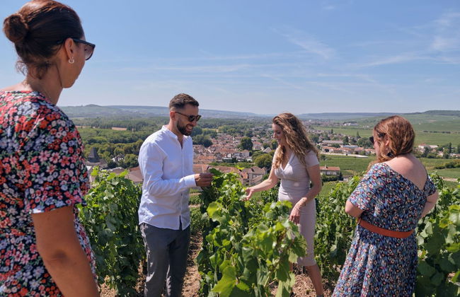 Tour dello champagne a Épernay, Hautvillers e Mareuil-sur-Ay - Foto 8