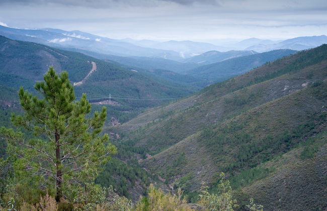 Meandro del Melero Boat Trip - Photo 6