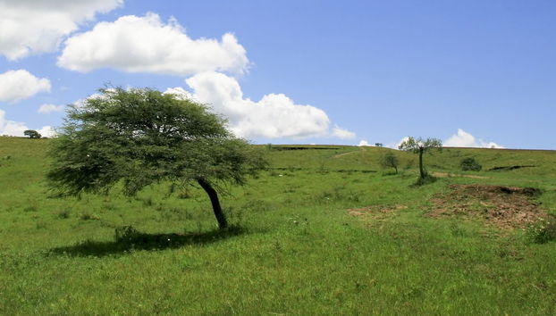 Hiking in San Lorenzo - Photo 4