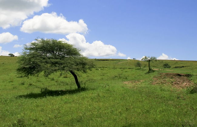 Hiking in San Lorenzo - Photo 4