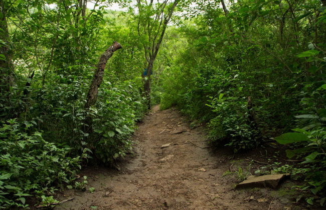 Hiking in San Lorenzo - Photo 7
