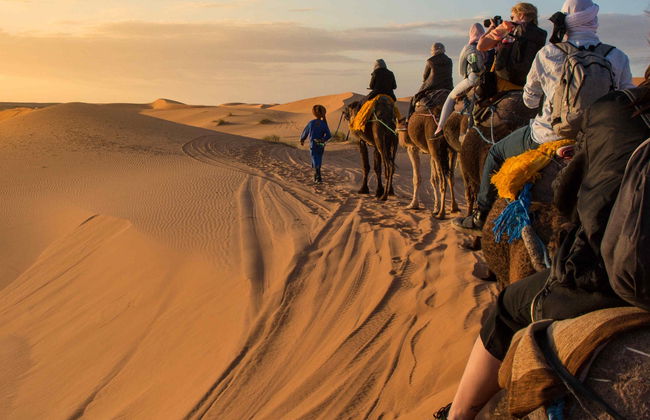 Paseo en camello por el desierto - Foto 8