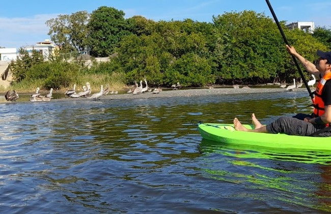 Tour en kayak por la laguna del Chairel - Foto 8