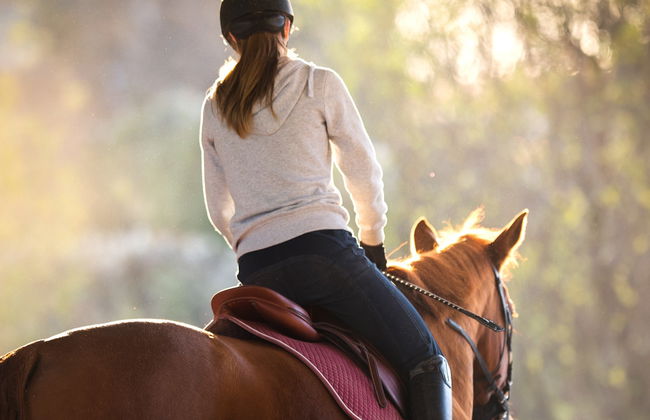 Horseback Riding at Caravedo Hacienda - Photo 4