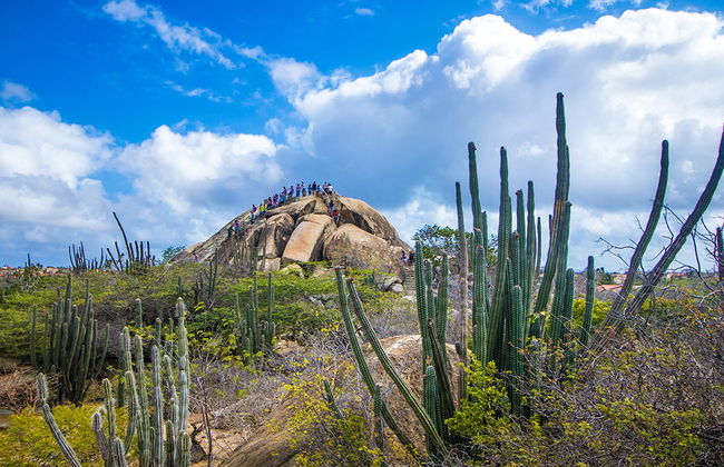 Os grandes destaques de Aruba - Foto 2