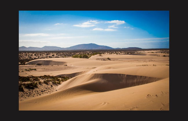 Excursion à Fuerteventura - Photo 2