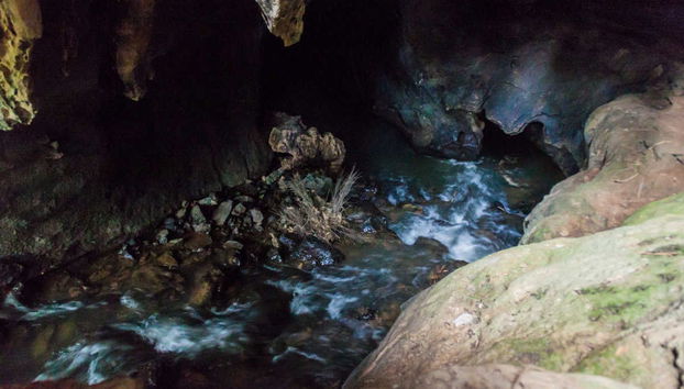 Trekking por el Valle de Viñales - Foto 3