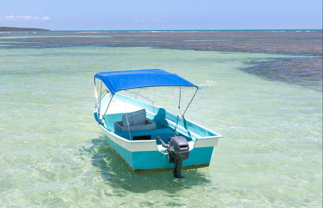 Day Trip to Morro de São Paulo - Foto 2