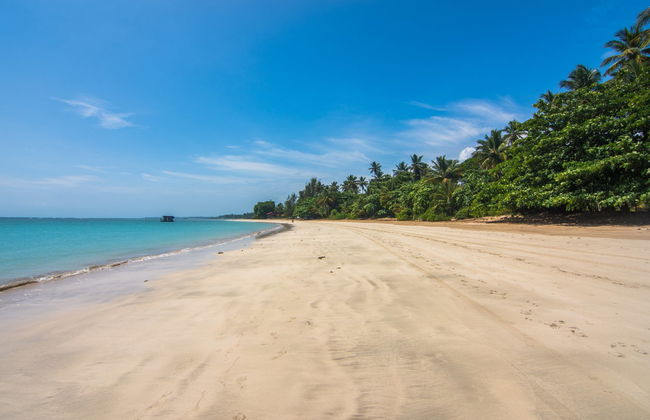 Day Trip to Morro de São Paulo - Foto 1