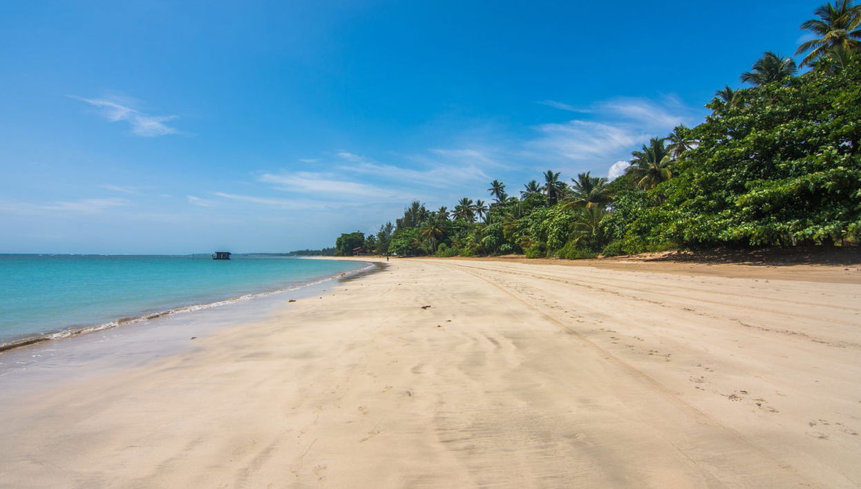 Day Trip to Morro de São Paulo - Foto 1