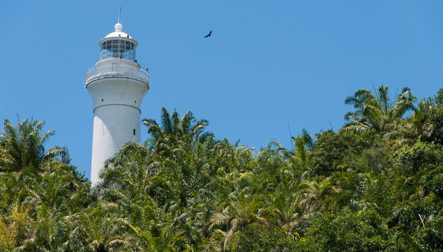Day Trip to Morro de São Paulo - Foto 3