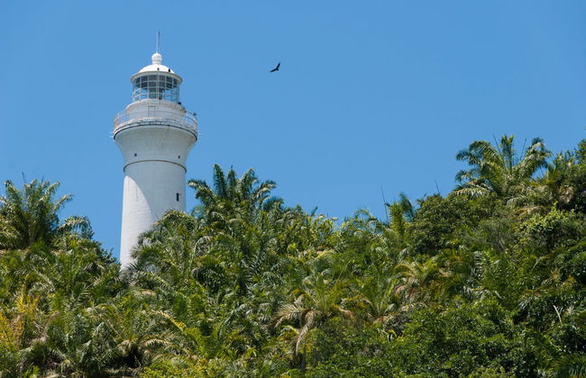 Day Trip to Morro de São Paulo - Foto 3