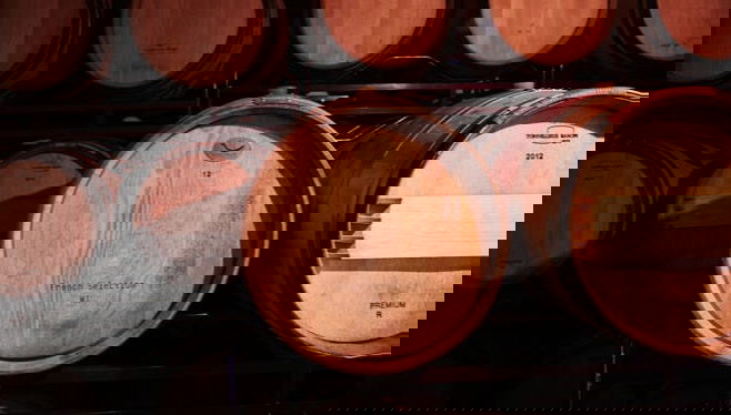 Visita a la bodega Las dos Antiguas