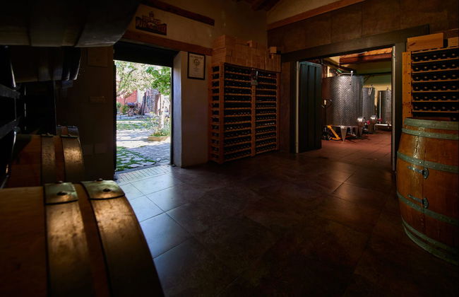 Visita alla cantina Las dos Antiguas - Foto 4