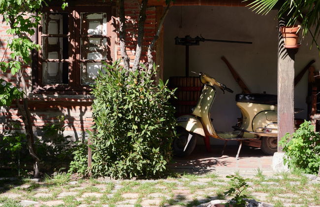 Visita alla cantina Las dos Antiguas - Foto 3