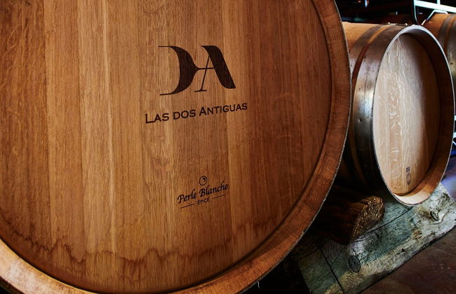 Visita alla cantina Las dos Antiguas - Foto 7