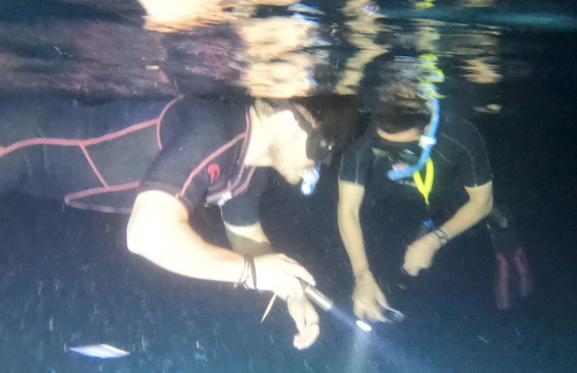 Snorkel nocturno en Cozumel - Foto 8