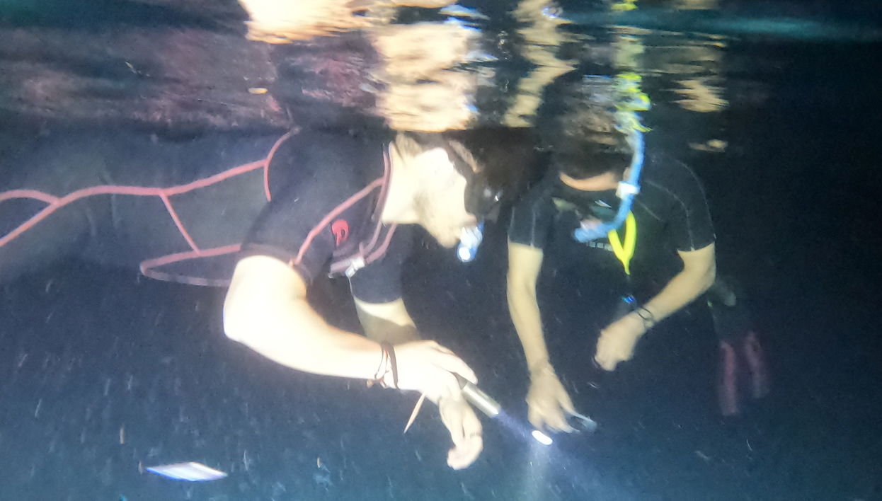 Night Snorkeling in Cozumel
