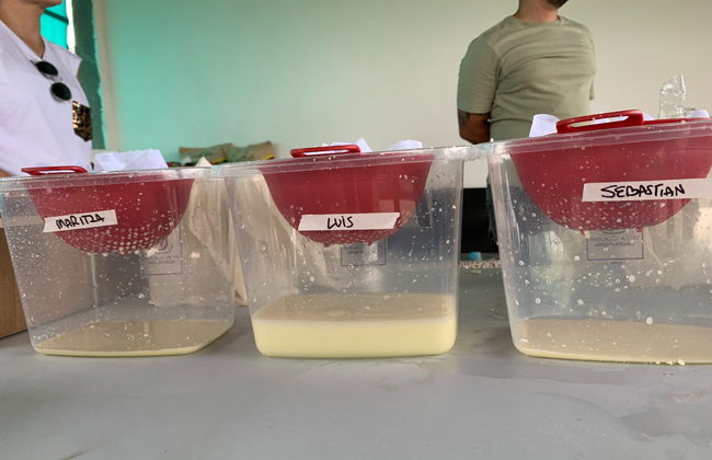 Taller de queso campesino en Pereira - Foto 5