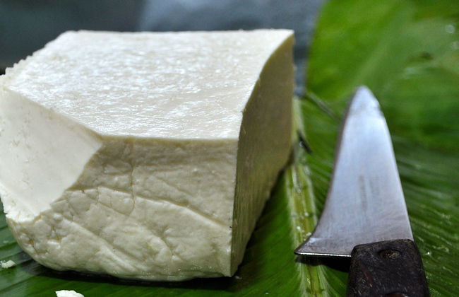 Taller de queso campesino en Pereira - Foto 8