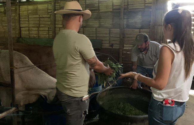 Taller de queso campesino en Pereira - Foto 7