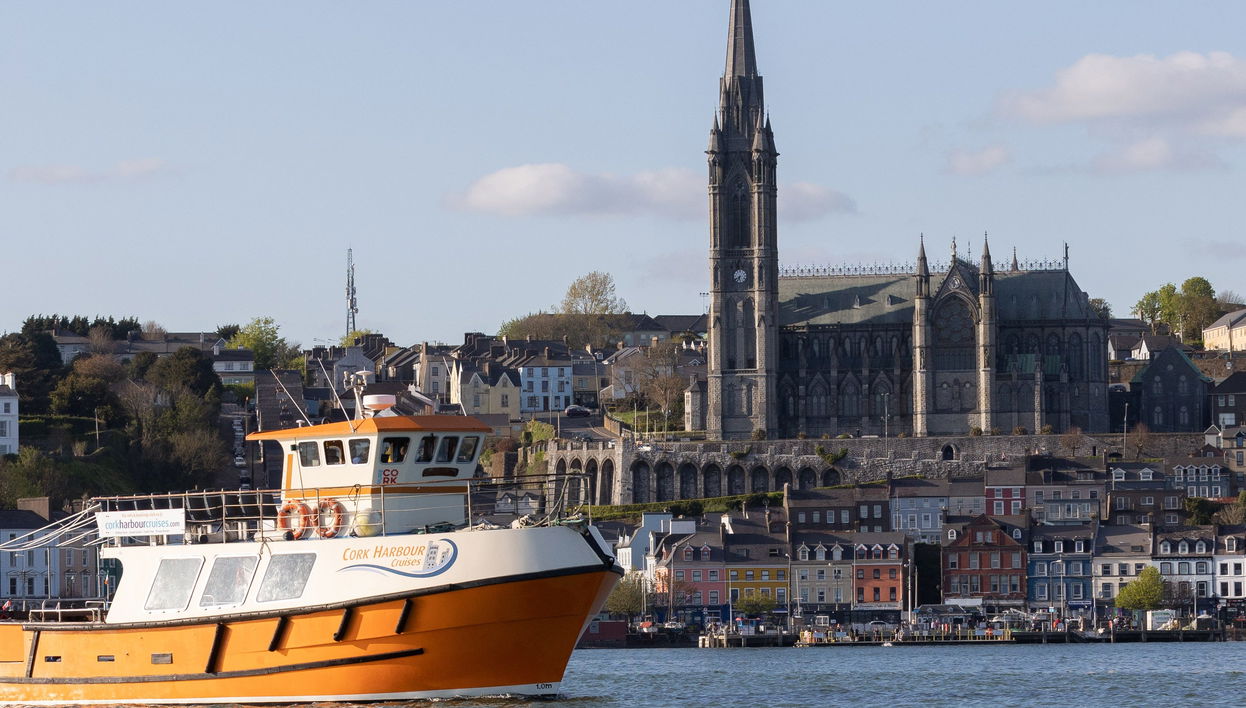 Cork Harbour Boat Cruise - Foto 1