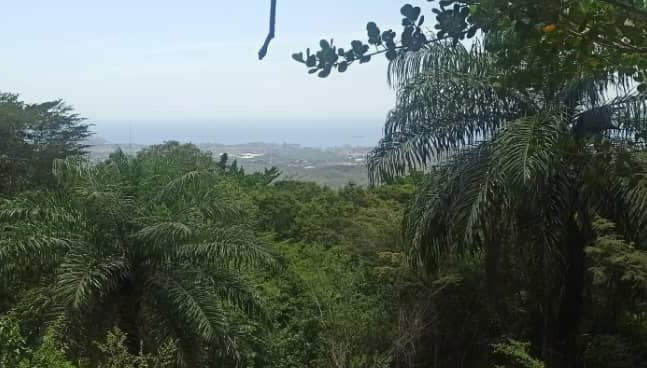 Tour di La Asunción + Trekking a La Sierra