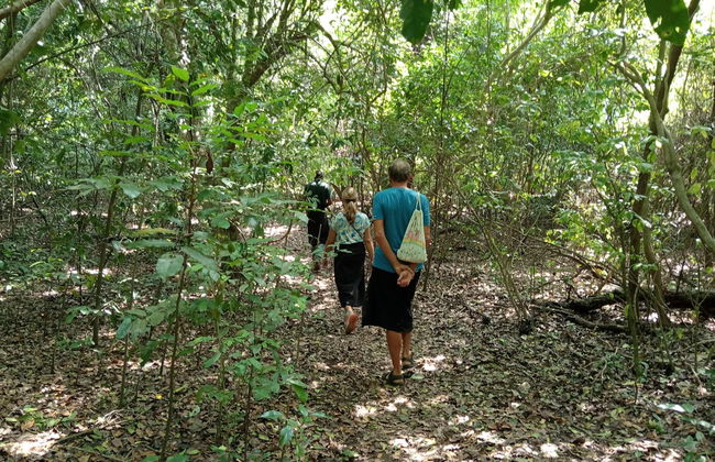 Tour por el bosque Kaya Kinondo - Foto 7