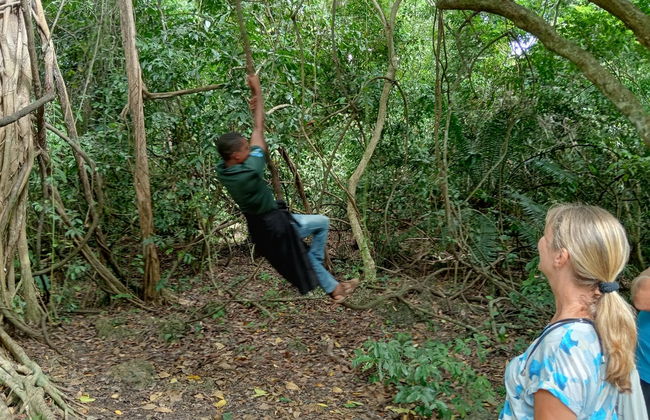 Tour por el bosque Kaya Kinondo - Foto 5