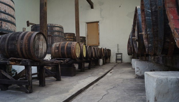 Parras de la Fuente Private Winery Tour - Photo 5