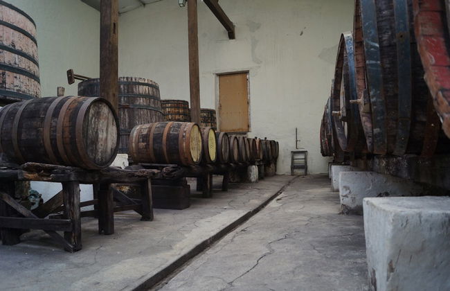 Parras de la Fuente Private Winery Tour - Photo 5