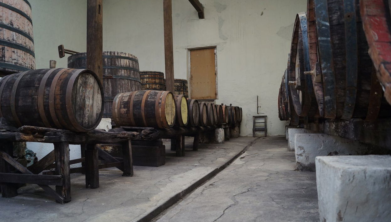 Tour privado de viñedos y bodegas - Foto 1